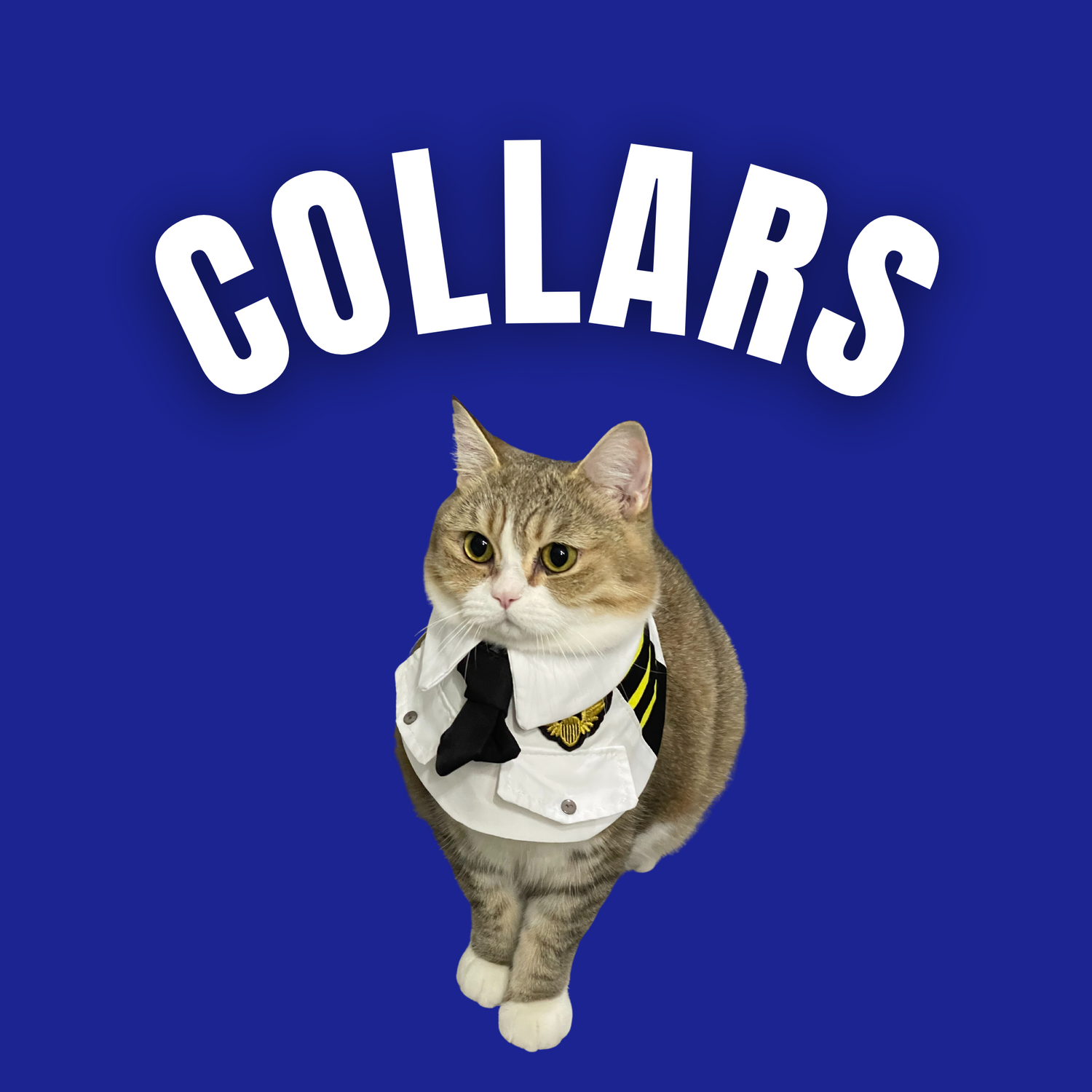 Regular Collars