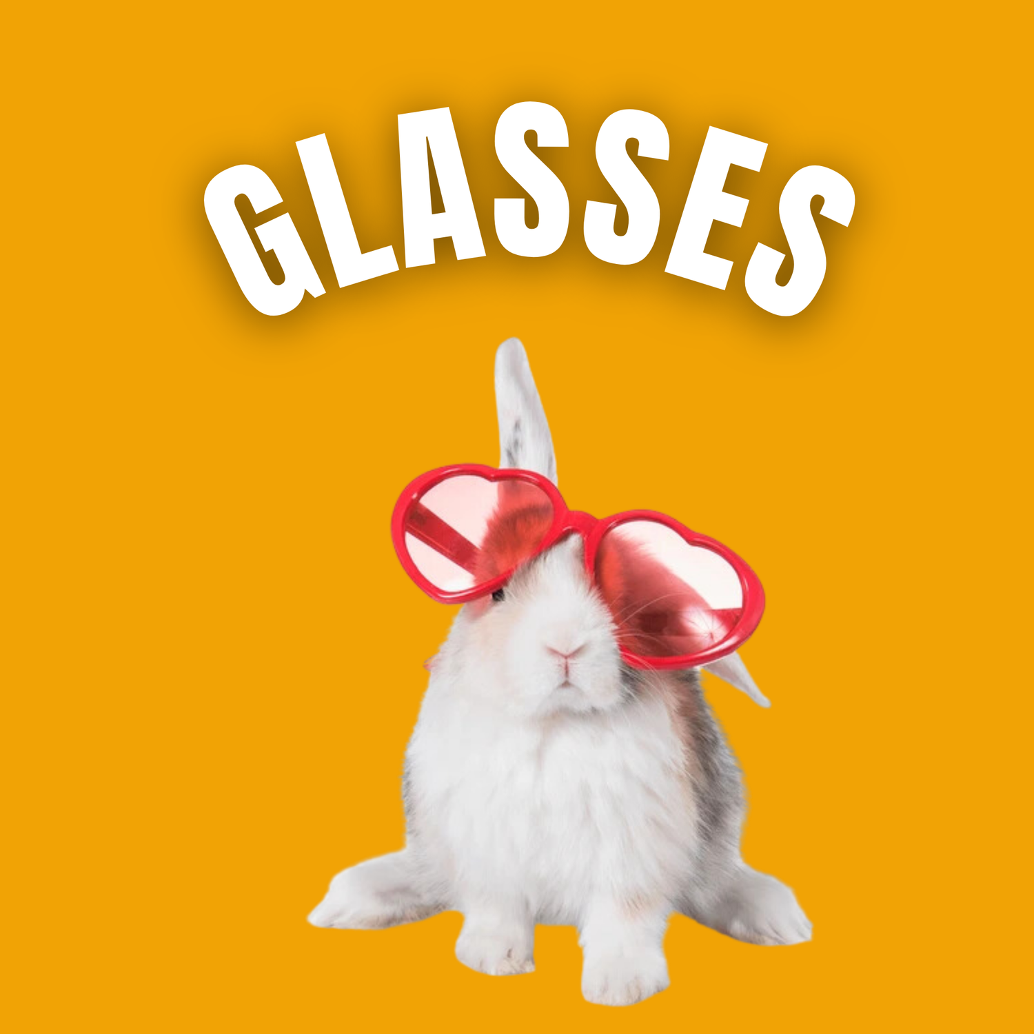 Pet Glasses