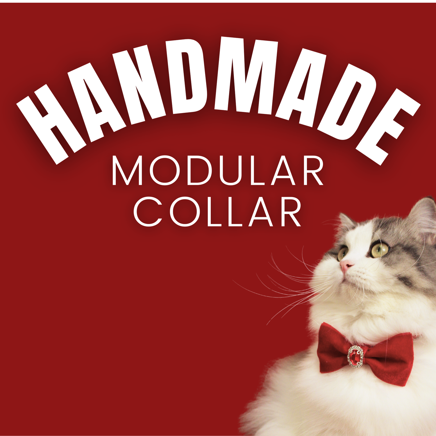 Modular Collar