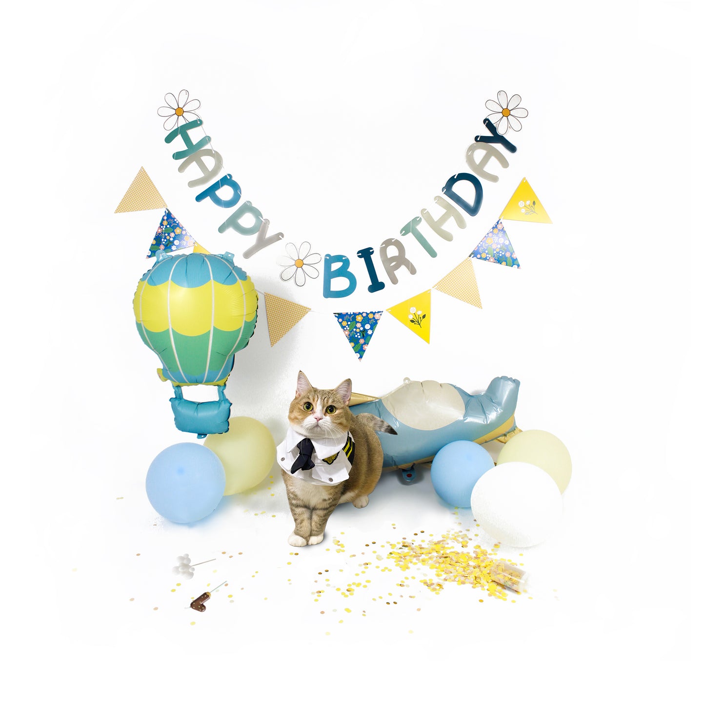 Pilot Yellow Adventure - Cat and Dog Birthday Party Kit