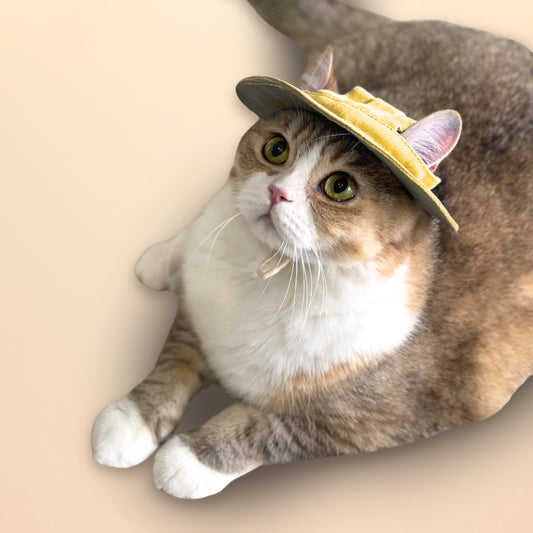 Japanese Style Sunny Paws Denim Bucket Hat for Pets