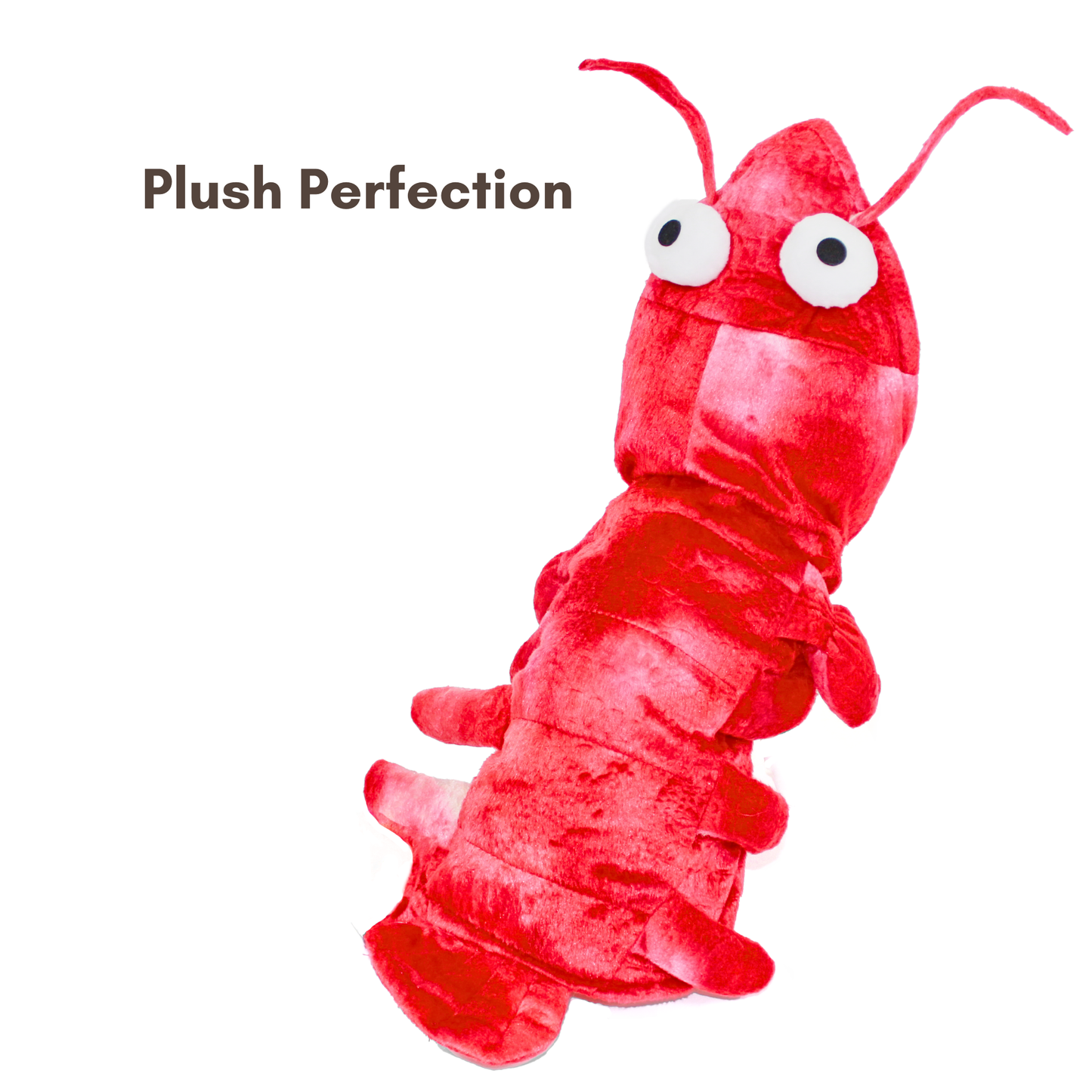 Lobster Costume for Pets