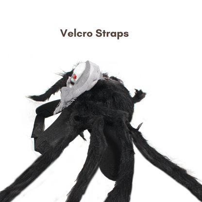 Halloween Spider Pet Costume