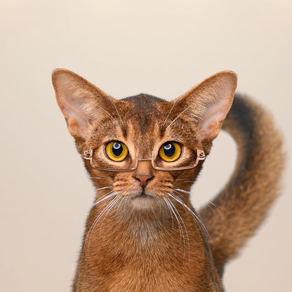 Elegant Half-Frame Glasses for Pets (with handmade Chain)