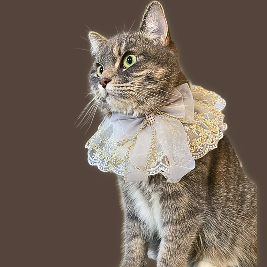 Elegant Pearl & Diamond White Smoke Lace Collar with Gold Trim