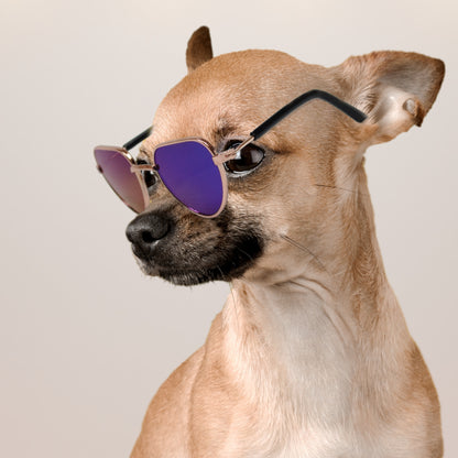 Aviator Fashion Shaded Sunglasses for Pets