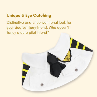 Pilot Yellow Adventure - Cat and Dog Birthday Party Kit