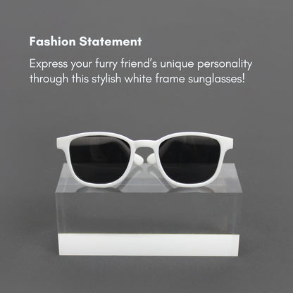 White Frame Sunglasses