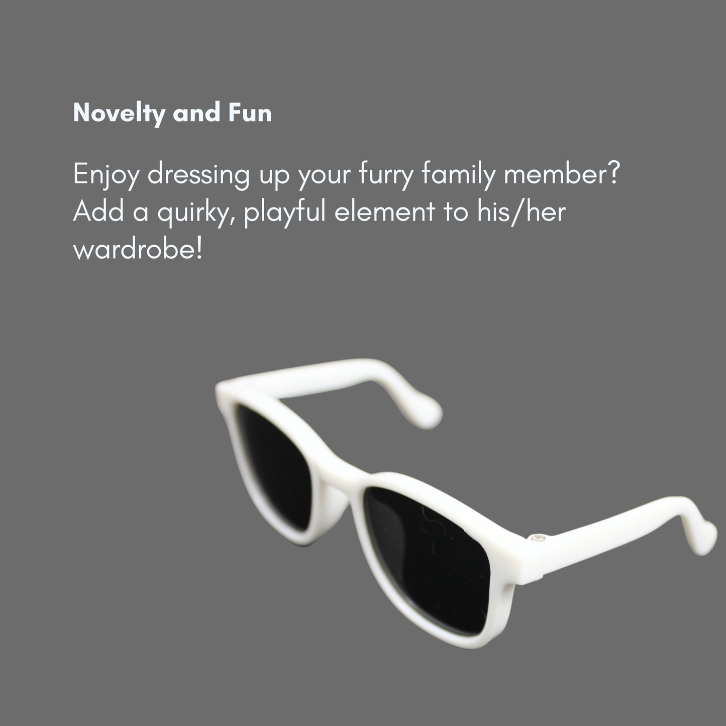 White Frame Sunglasses