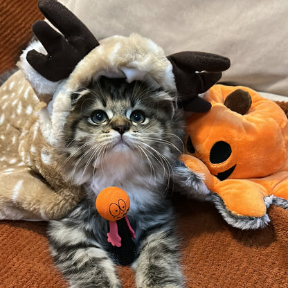 Adorable Reindeer Pet Costume Cloak