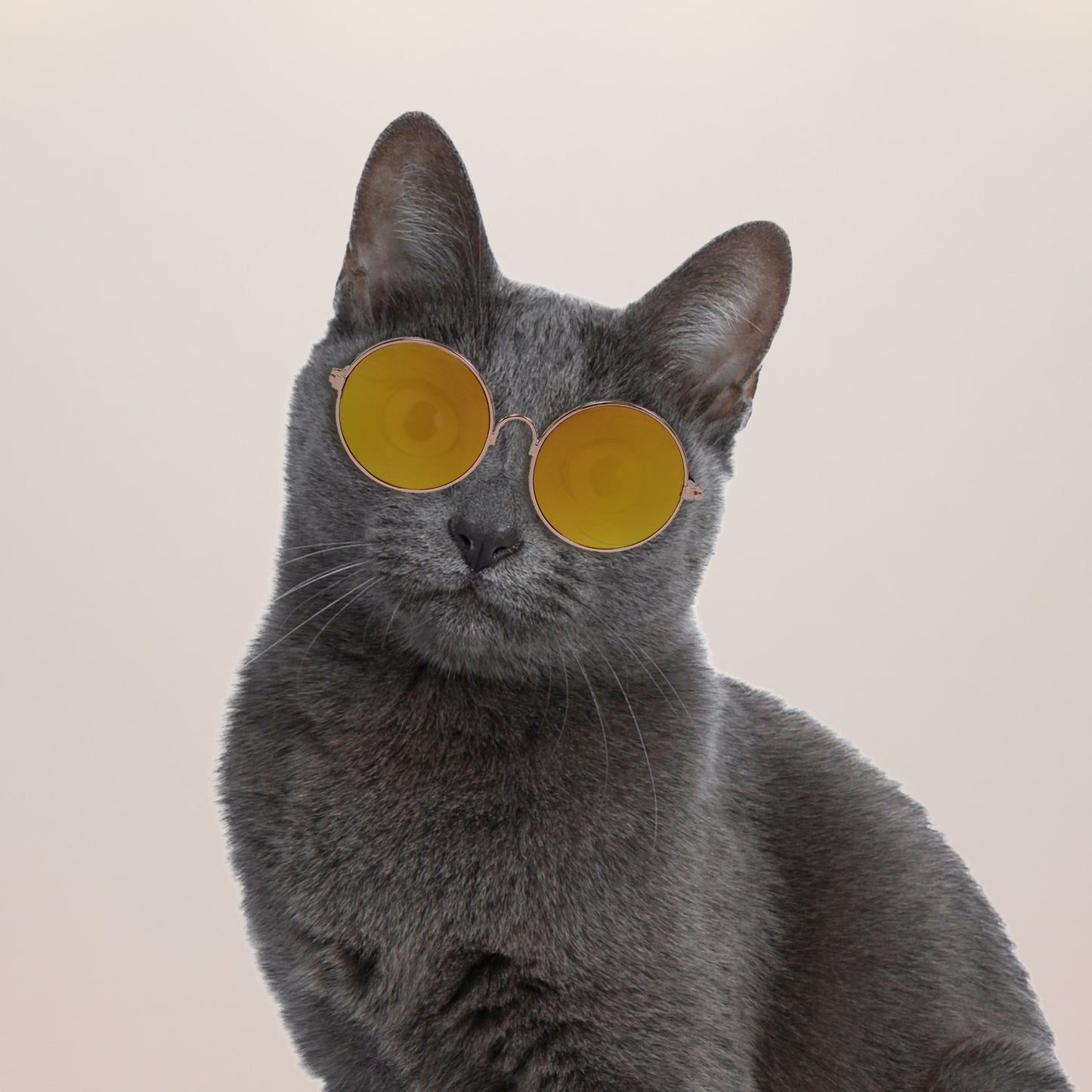 Gold Frame Yellow Round Solid Mirror Sunglasses for Pets