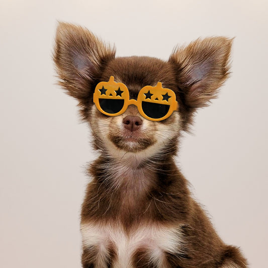 Halloween Pumpkin Sunglasses