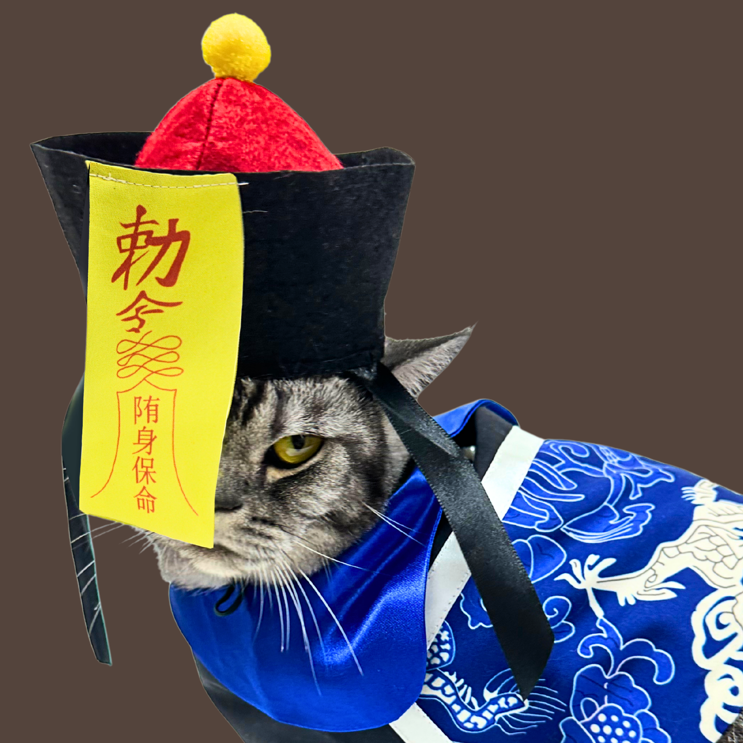 High-Quality Blue Hopping Chinese Zombie Costume for Pets