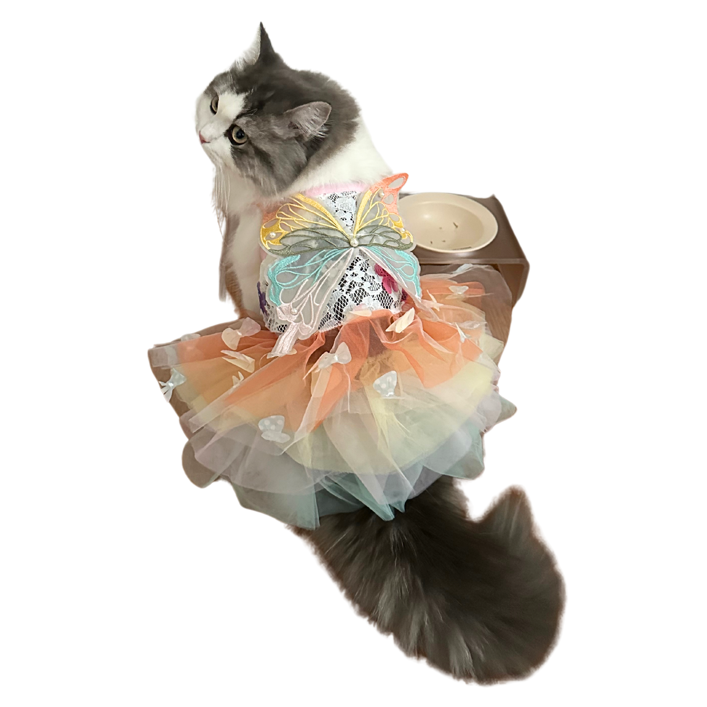 Rainbow Butterfly for Pets – Adjustable Tulle Skirt with Pearl Accents