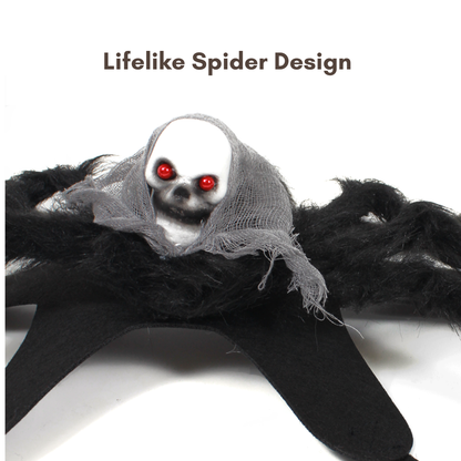 Halloween Spider Pet Costume