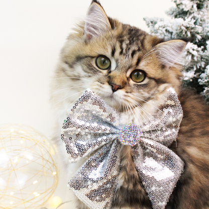 Handmade Silver Sequins lighting bow for Cats and Dogs (Collar + Charm)