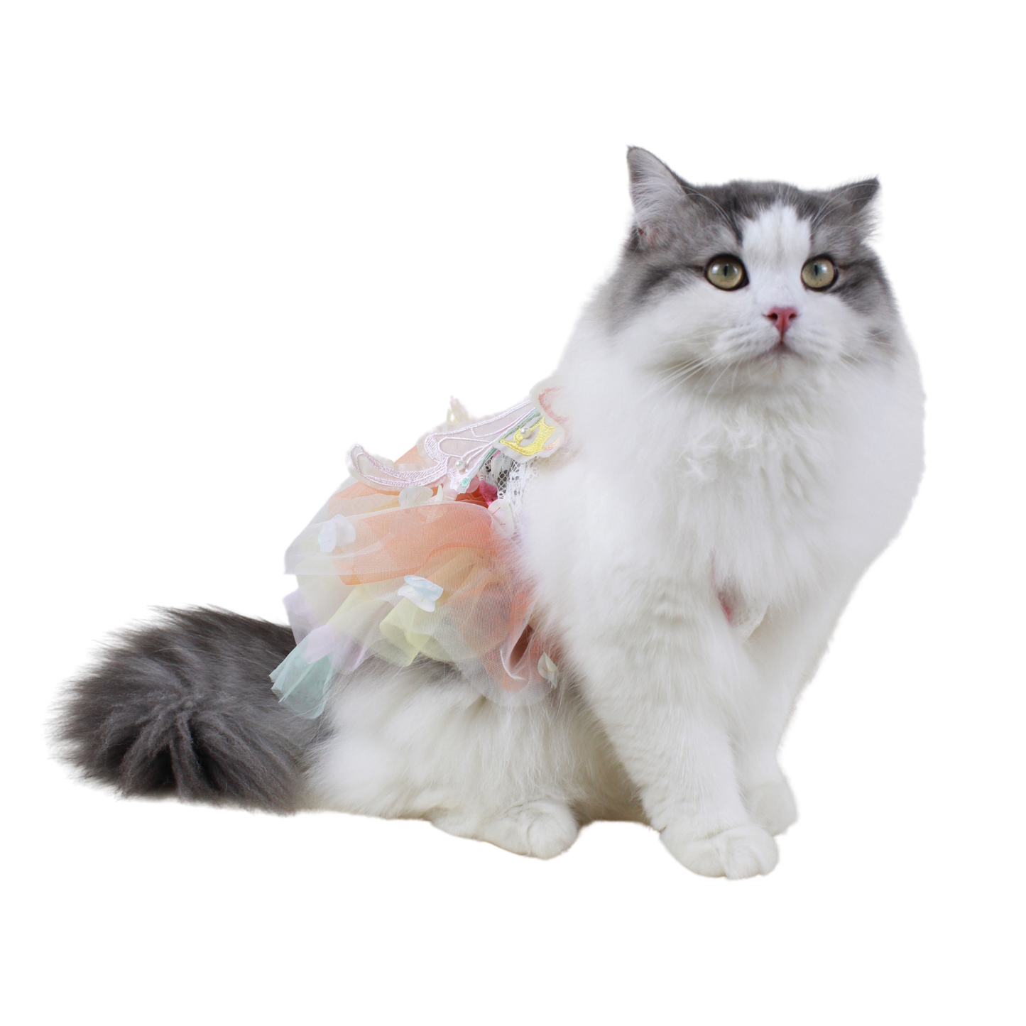 Rainbow Butterfly for Pets – Adjustable Tulle Skirt with Pearl Accents