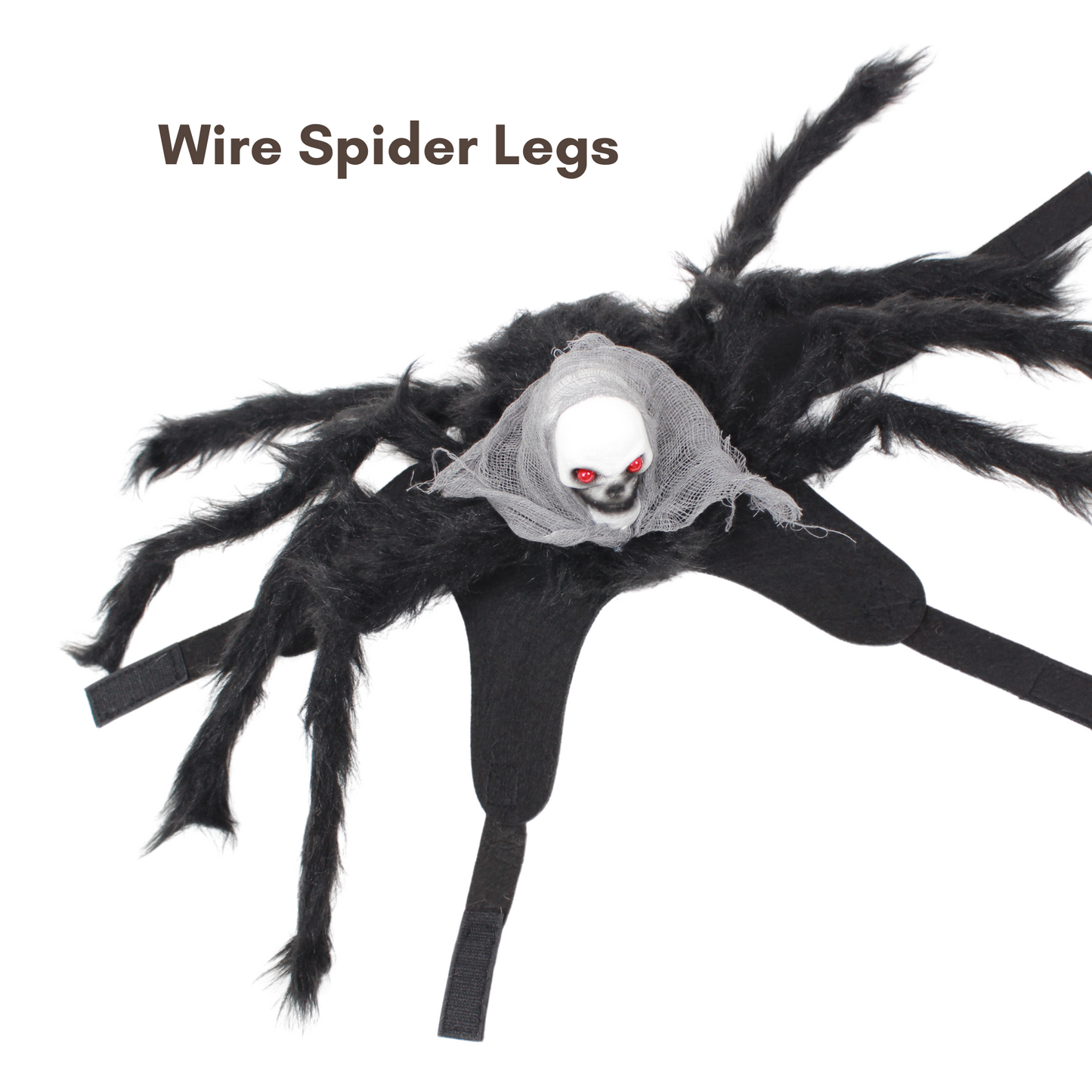 Halloween Spider Pet Costume