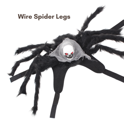 Halloween Spider Pet Costume