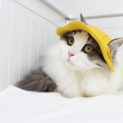 Japanese Style Sunny Paws Denim Bucket Hat for Pets