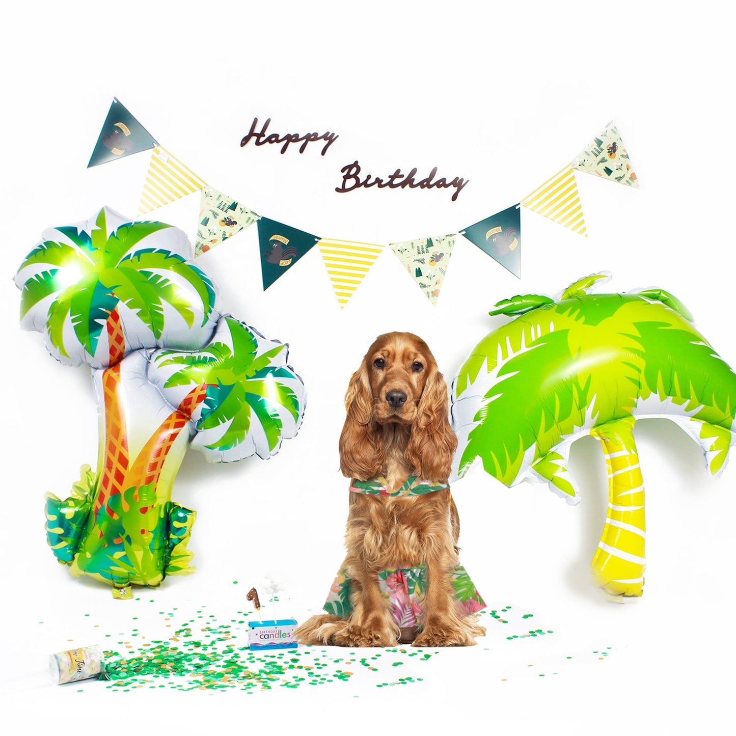 Hawaii Themed- Cat and Dog Birthday Party Kit