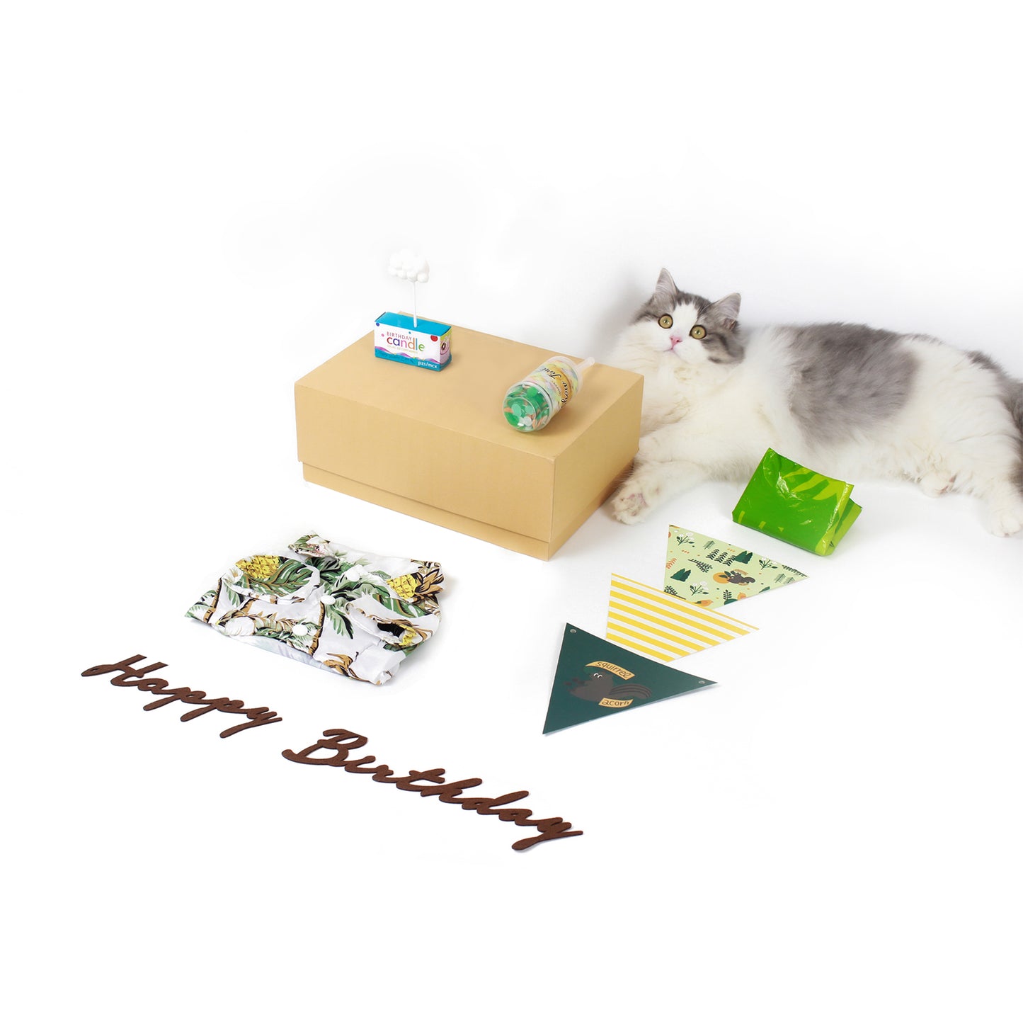 Hawaii Themed- Cat and Dog Birthday Party Kit